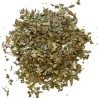 Myrte GANZES Blatt 100 GRS Myrtus communis.