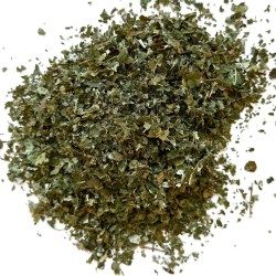 Noisetier (Coudrier) feuille 250 GRS Corylus avellana