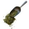 Murier Blatt 1 KILO Rubus fructicosus.
