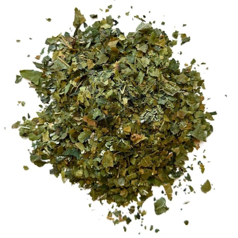 Murier Blatt 1 KILO Rubus fructicosus. Murier Blatt 1 KILO Rubus fructicosus.