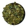 Murier Blatt 1 KILO Rubus fructicosus.