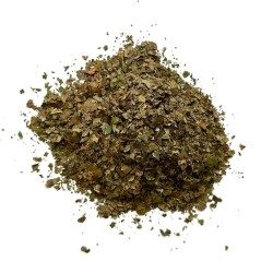 Noyer feuille  100 g Juglans regia