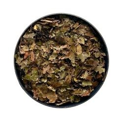 Noyer feuille  100 g Juglans regia