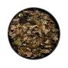 Noyer feuille  100 g Juglans regia