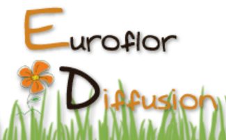 Euroflor Diffusion